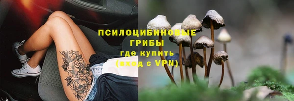 наркотики Алексин