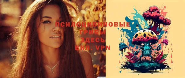 jwh Арсеньев
